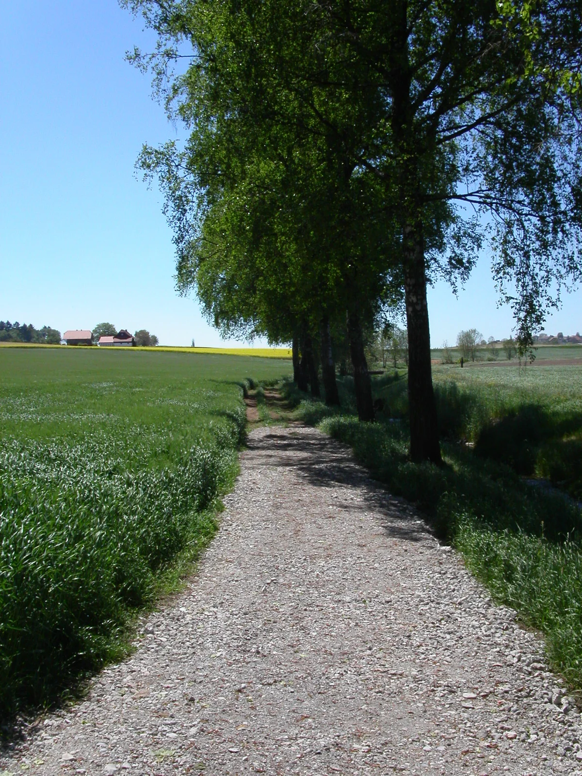 Fussweg 