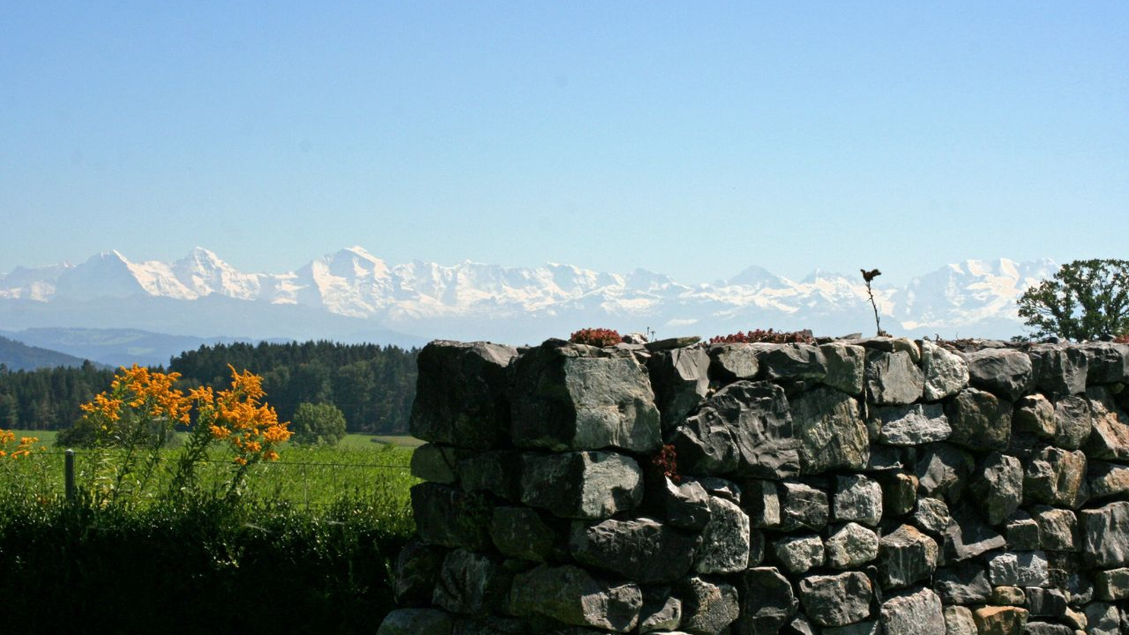 Bergpanorama mit Steinmauer